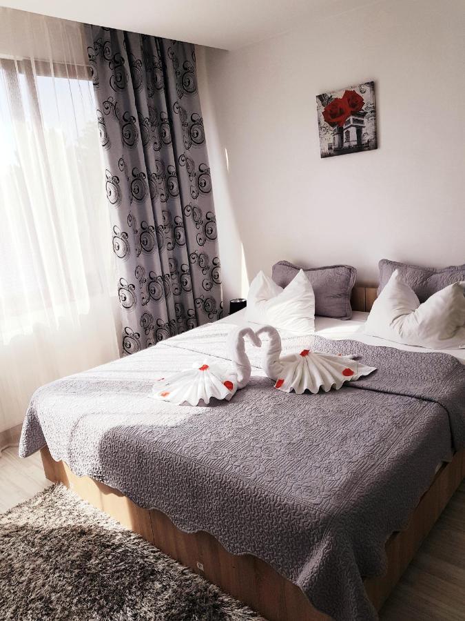 Pensiunea Red Rose Guest house Timisoara