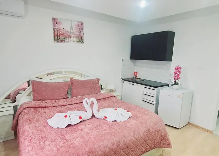 Pensiunea Red Rose Apartments