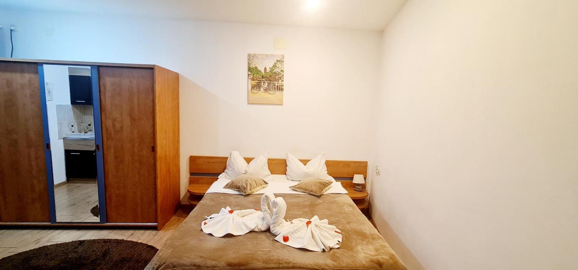 Pensiune Pensiunea Red Rose 4*